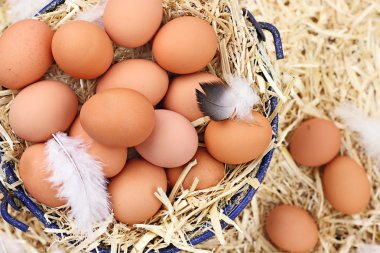 Fresh Organic Farm Eggs clipart