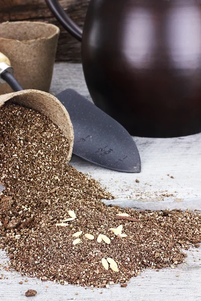 Piantare semi in vasetti di torba — Foto Stock