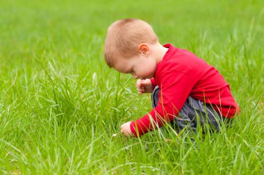 Cute little boy exploring the nature on beautiful spring day clipart