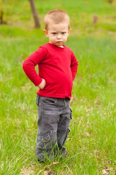 Cute angry little boy standing in the middle of the meadow on beautiful spring day — Stock Photo, Image