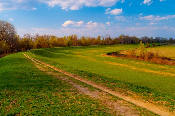 Hermoso paisaje que muestra el camino rural en el soleado día de primavera — Foto de Stock