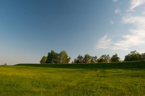 Wunderschöne Landschaft mit riesiger Wiese und klarem blauen Himmel an einem sonnigen Frühlingstag — Stockfoto