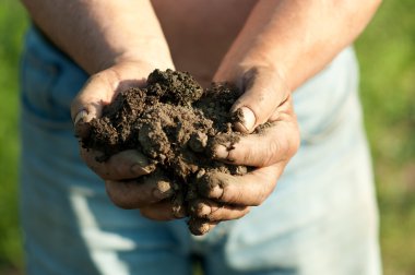 Farmer holding lump of wet soil in his hands clipart