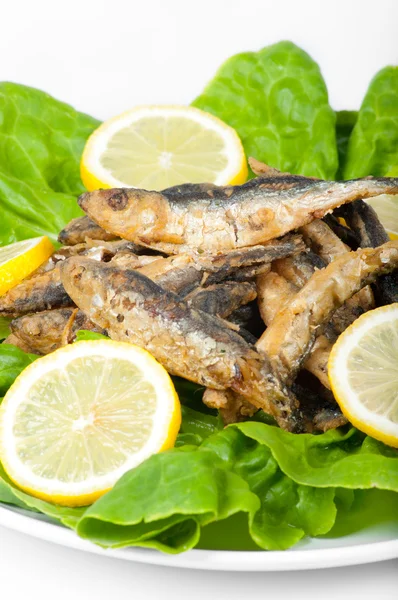 stock image Smelt with lemon slices and green salad isolated on white