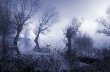 Dark landscape painting showing trees in the misty swamp clipart