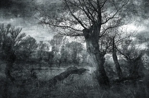 Creepy art grunge landscape in black and white — Stock Photo, Image
