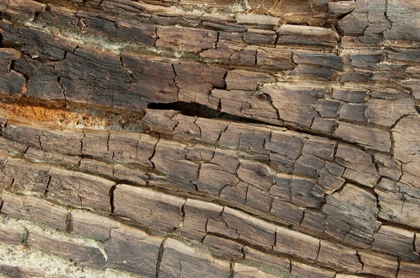 Alte Holzstruktur — Stockfoto