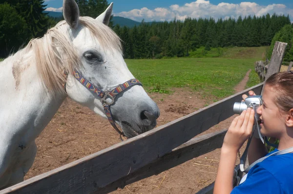 Niña tomando fotos de un caballo — Foto de Stock