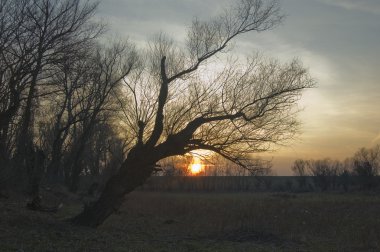 güzel sonbahar günü nehrin üzerinden manzara gösteren sunrise