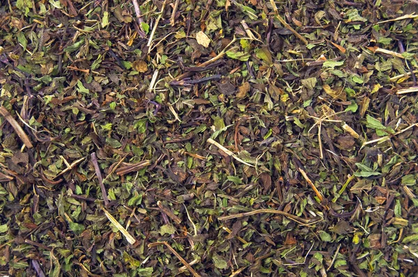 stock image Green tea