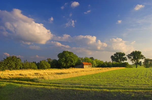Güzel bir ülke manzara tam yaz renkleri — Stok fotoğraf