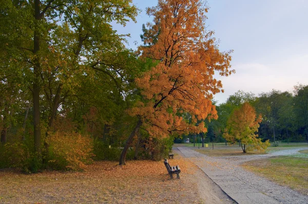 흐린 날에 아름 다운 공원에서 장면 — 스톡 사진