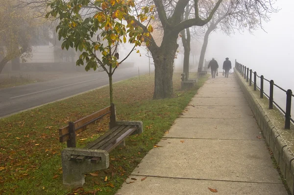 2 つの古い厚の秋の霧によって隠されている川に沿って歩く, — ストック写真