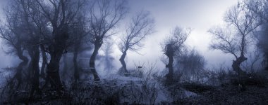 Creepy landscape in sepia tones showing old trees on the foggy autumn day clipart