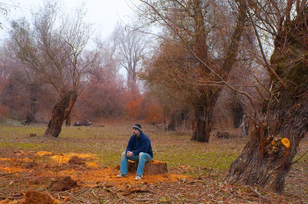 남자는 로그에 앉아 숲의 통제 절단에 대 한 걱정 — 스톡 사진