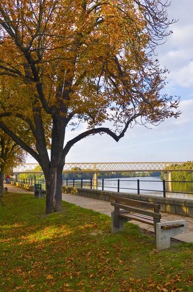 Hermoso día de otoño en la acera junto al río — Foto de Stock