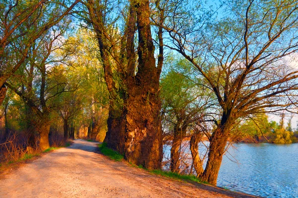 Foto de paisaje que muestra la hermosa naturaleza junto al río en el otoño —  Fotos de Stock