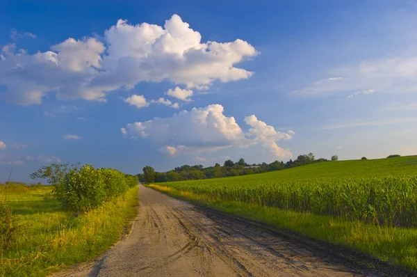 Beautiful country landscape — Stock Photo, Image