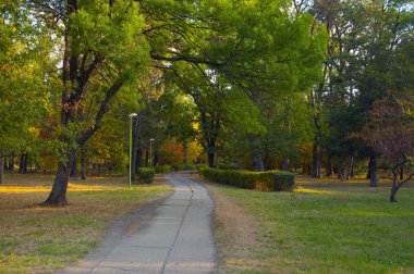 bulutlu bir günde güzel park yerinden