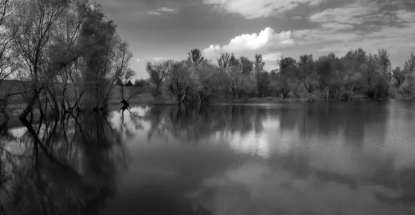 Моторошний пейзаж, що показує дерева і річку в похмурий день — стокове фото