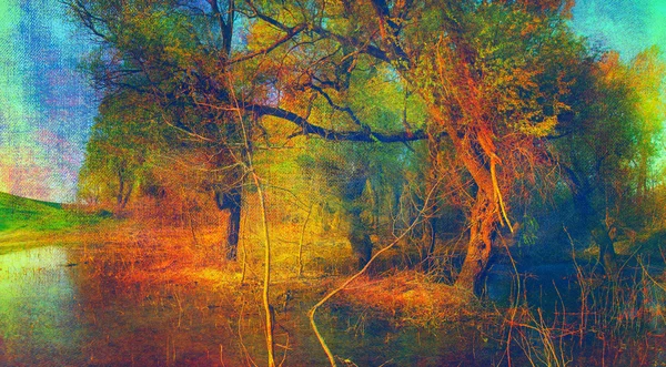 Art grunge paesaggio raccapricciante mostrando vecchia foresta allagata nella soleggiata giornata autunnale — Foto Stock