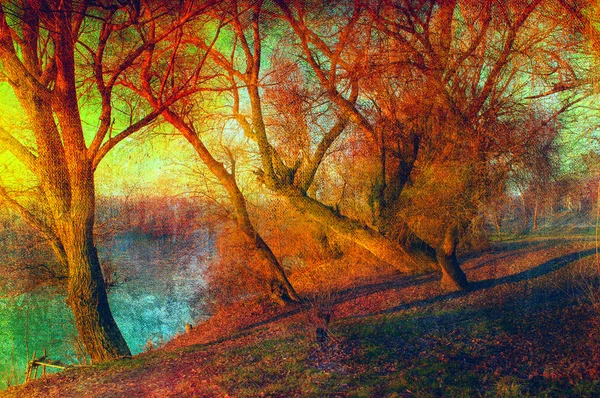Art grunge landscape showing trees beside the river on sunny autumn day — Stock Photo, Image