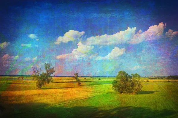 Art grunge landscape showing green meadows and yellow fields — Stock Photo, Image