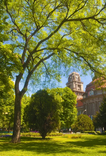 stock image View on the town clock from the beautiful park at the beginning of spring