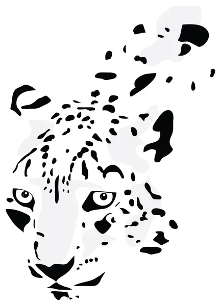 Sylwetka Leopard w kolorach czarny, biały i szary — Zdjęcie stockowe