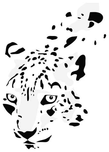 stock image Silhouette of the leopard in black, white and gray tones