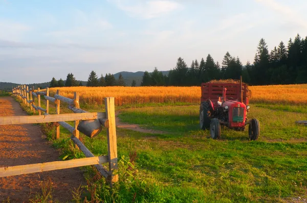 Agriculture landscape showing land, wooden fence and small tractor — Stock Photo, Image