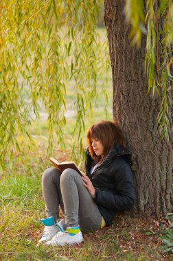 Pretty teenage girl reads the book under the willow tree clipart