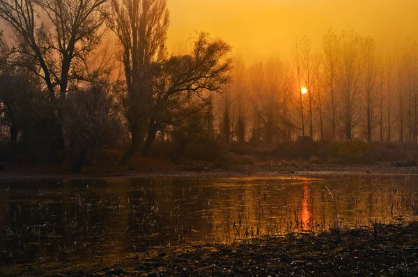 Τοπίο προβολή Ανατολή του ηλίου πάνω από τον ποταμό στην όμορφη φθινοπωρινή μέρα — Φωτογραφία Αρχείου