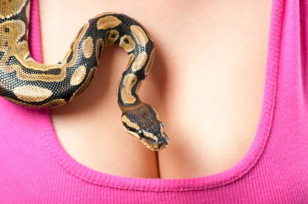 Kleine python kruipen over jonge vrouw borsten — Stockfoto