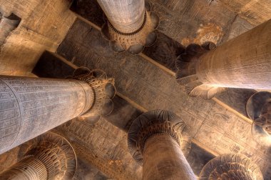 Magnificent columns in Khnum temple,Egypt clipart