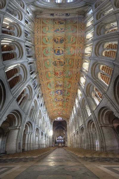 Catedral de Ely — Fotografia de Stock