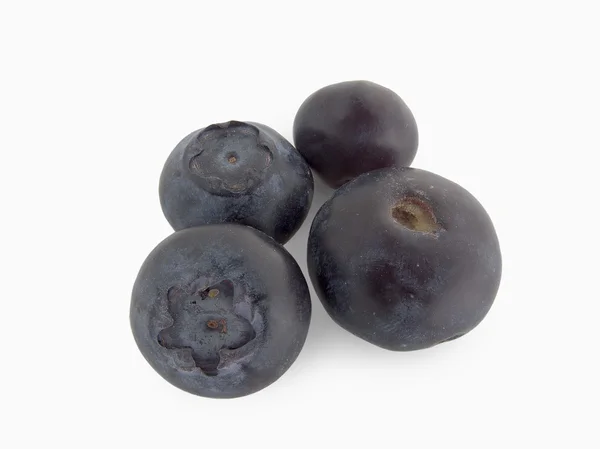 Frutta ai mirtilli — Foto Stock