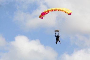 Tandem of skydivers clipart