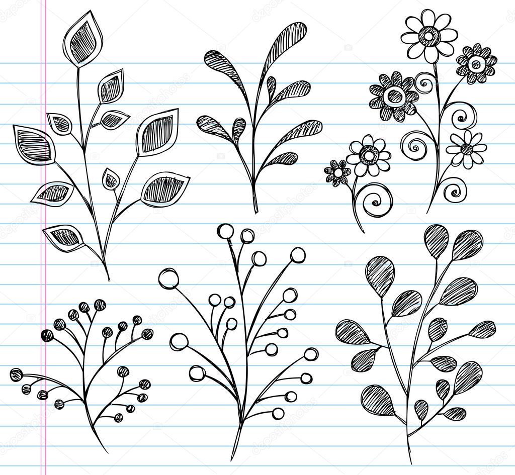 Зарисовки растительных элементов от руки.