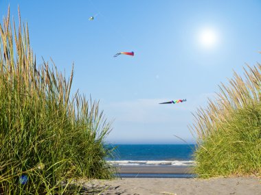 yeşil ve sarı beach çimenlerin üzerinde bir yol açık ve güneşli bir da da Ocean