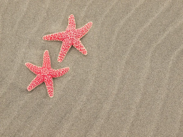 Two Red Starfish on the Beach with Windswept Sand Ripples — Stock Photo, Image