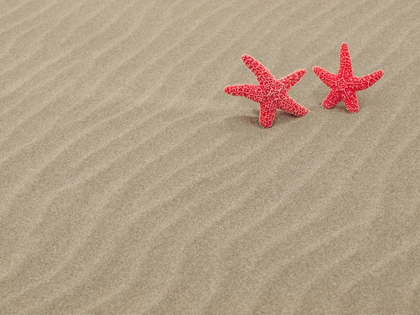 Dos estrellas de mar rojas en la playa con olas de arena barridas por el viento — Foto de Stock