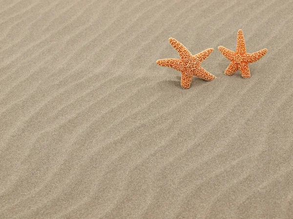 To søstjerner på stranden med vindblæste sandkrusninger - Stock-foto