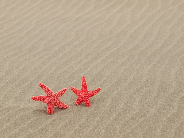Dwa czerwone rozgwiazdy na plaży z piaskiem, smagane wiatrem wsady — Zdjęcie stockowe