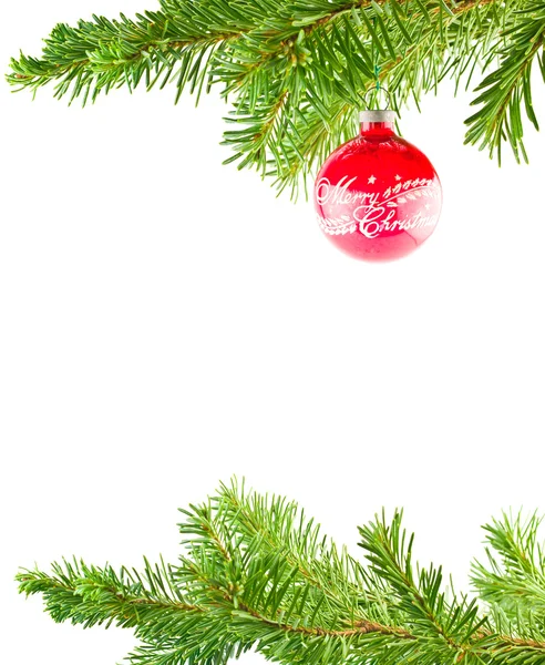 Weihnachtsbaumschmuck hängt an einem immergrünen Zweig — Stockfoto