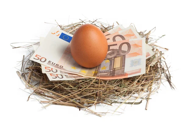 Pengar och bruna ägg i boet Stockbild