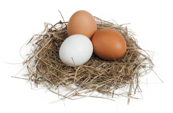 Eggs in nest isolated on white — Stock Photo, Image