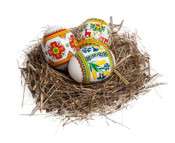 Œufs de Pâques dans le nid isolé sur blanc — Photo