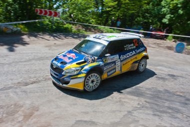 IRC Başbakan yalta ralli 2011