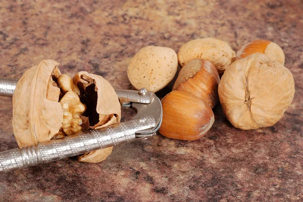Cracked walnut with nutcracker — Stock Photo, Image